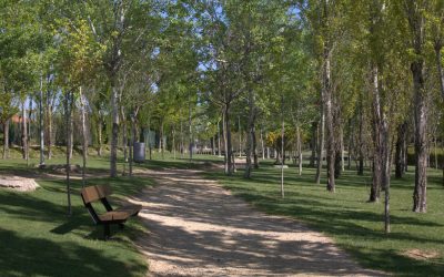 Segunda desinsectación y desratización por toda la Urbanización
