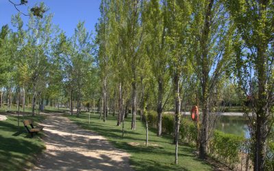 Comunicado del Colegio de Administradores de Fincas de Aragón