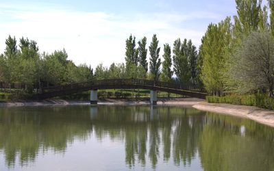 Agua de Riego