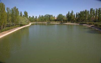 Tareas de Mantenimiento del Lago