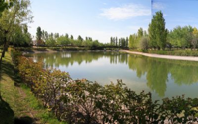 INFORMACIÓN SOBRE EL DE AGUA DE RIEGO