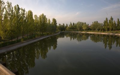 TAREAS MANTENIMIENTO DEL LAGO