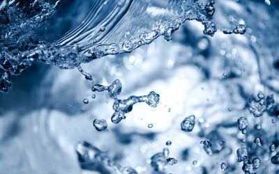 Corte de agua en el Canal Imperial de Aragón 30 de enero al 24 de febrero